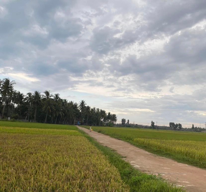 VỀ VỚI HOÀI NHƠN 