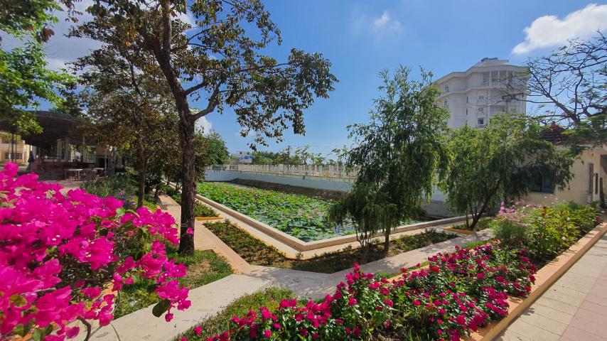 Về Trường - Clip tự dựng hướng tới 40 năm ngày thành lập (dự kiến 30-8-2020)