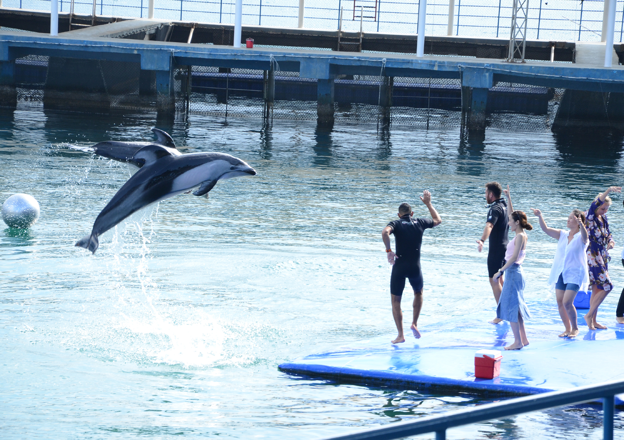 Ho&agrave;i Nhơn 2 Nguyễn Tr&acirc;n